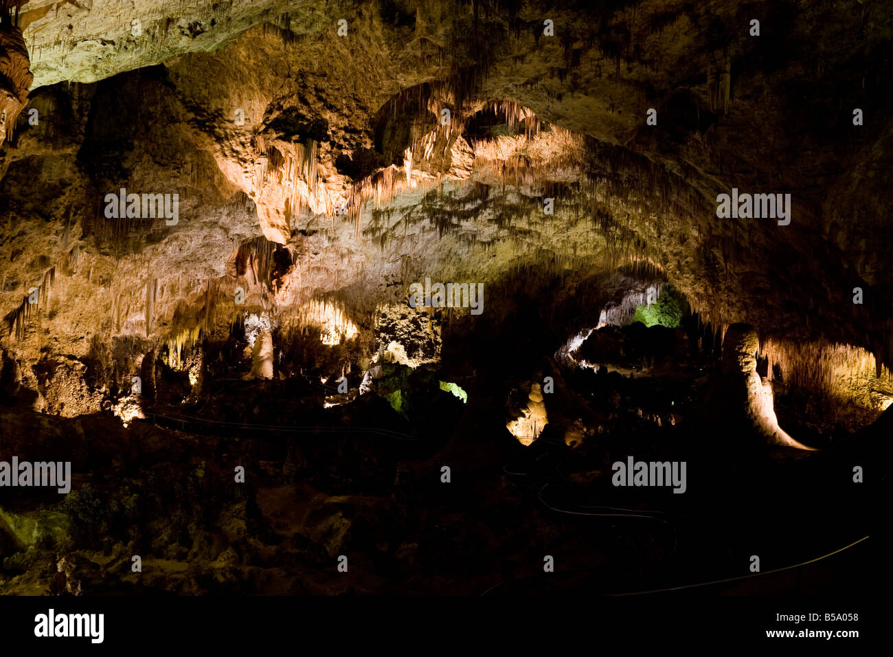Carlsbad Caverns National Park in New Mexico, USA Stockfoto