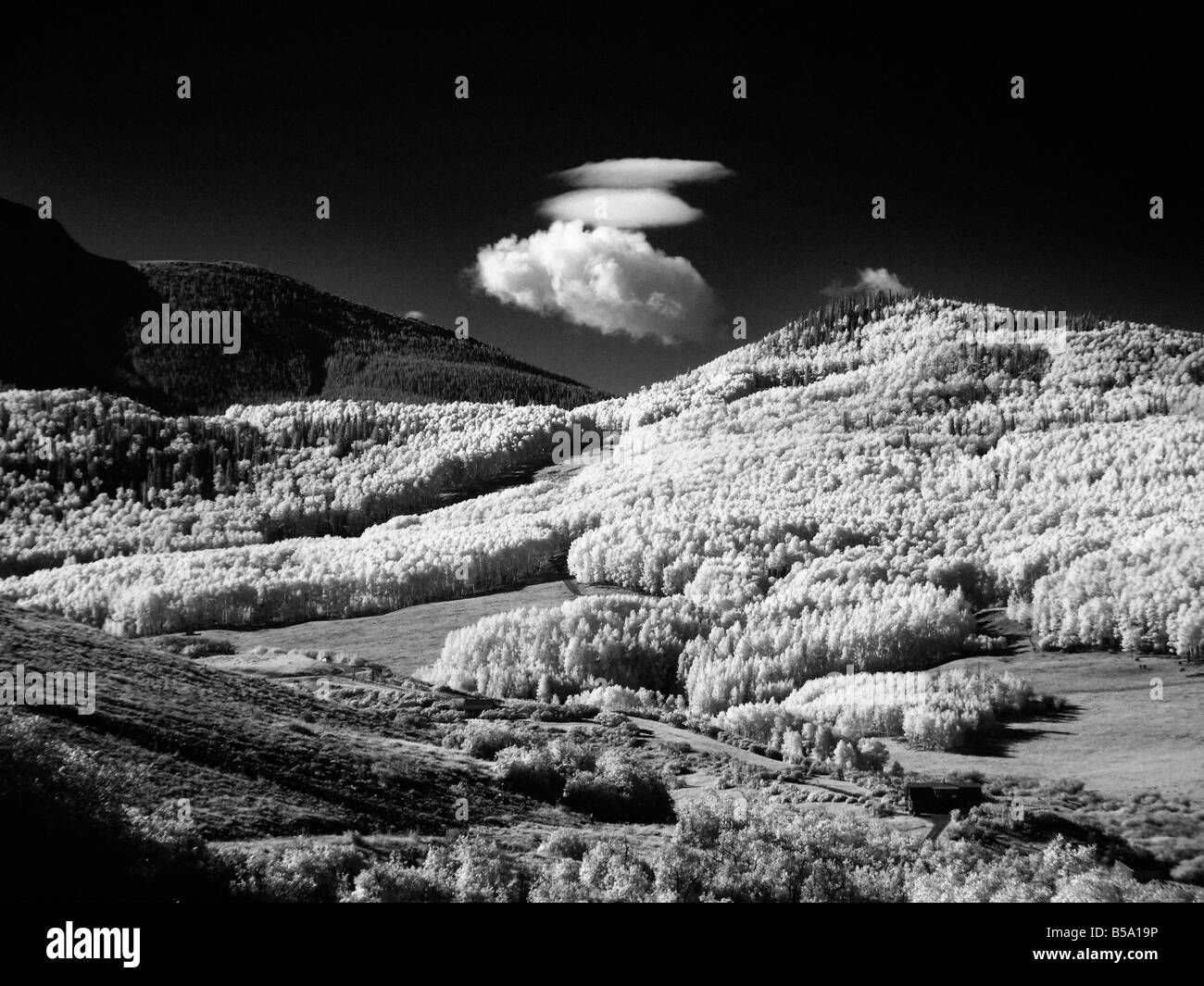 Herbst-Colorado-Landschaft in Infrarot Stockfoto