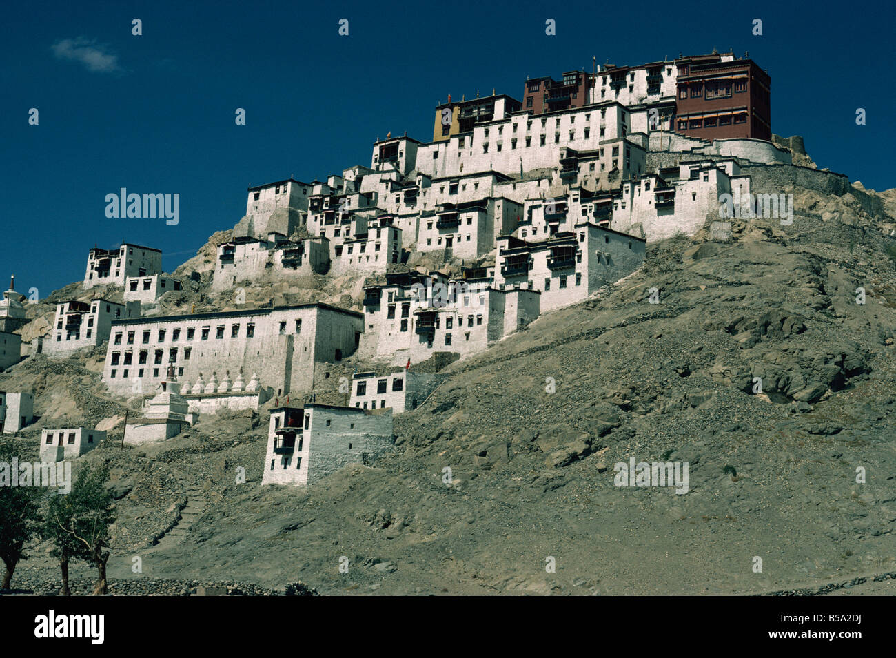 Thikse Gompa Ladakh Indien Asien Stockfoto