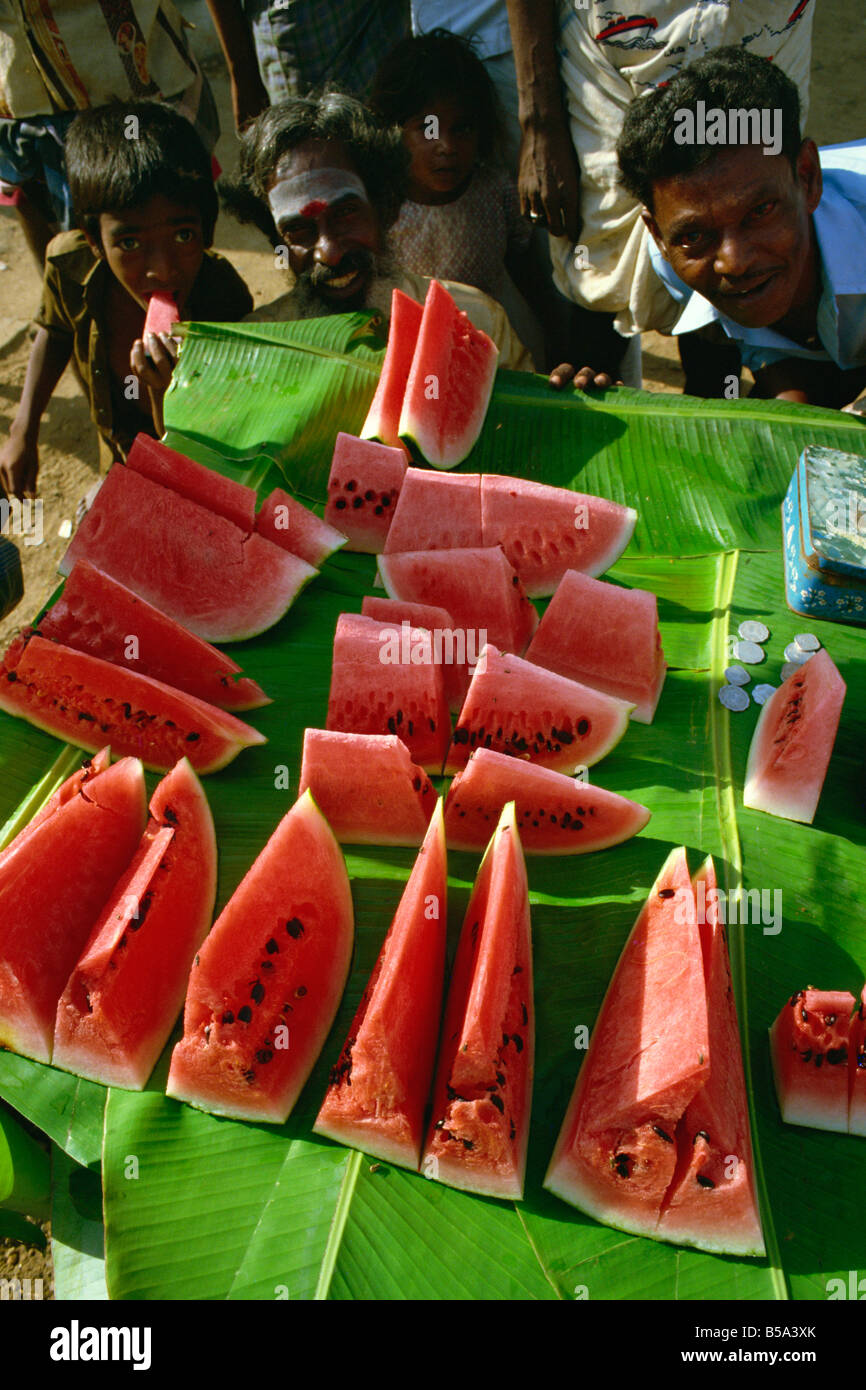 Wasser Melonen Süd Indien Indien Asien Stockfoto