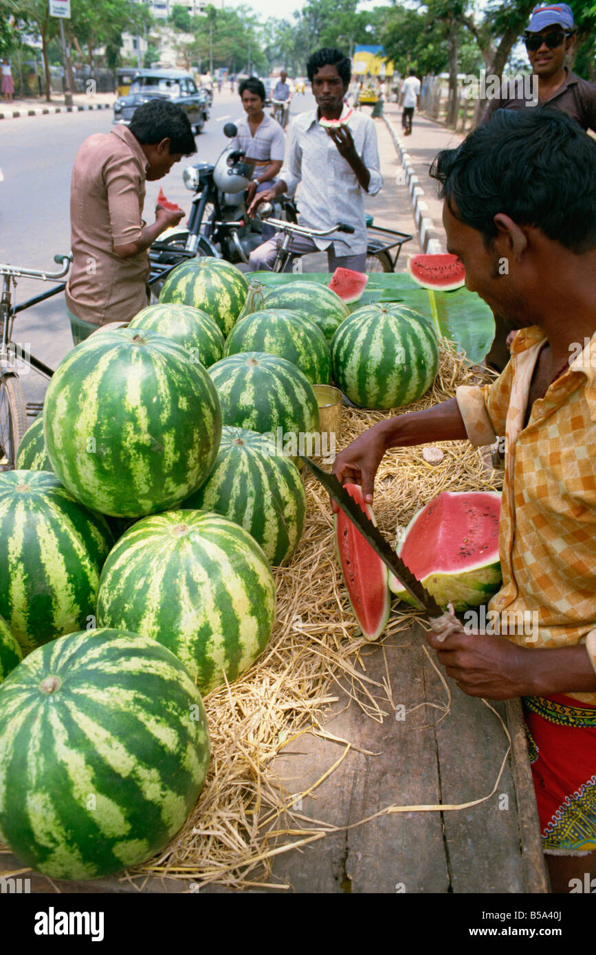 Wasser Melonen Süd Indien Indien Asien Stockfoto
