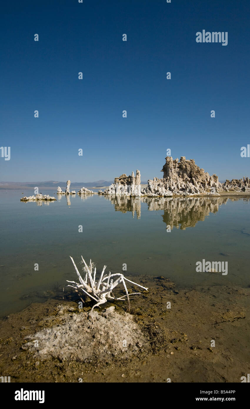 Seltsame Tuffstein Felsformationen, Mono Lake, Lee Vining, California, USA Stockfoto