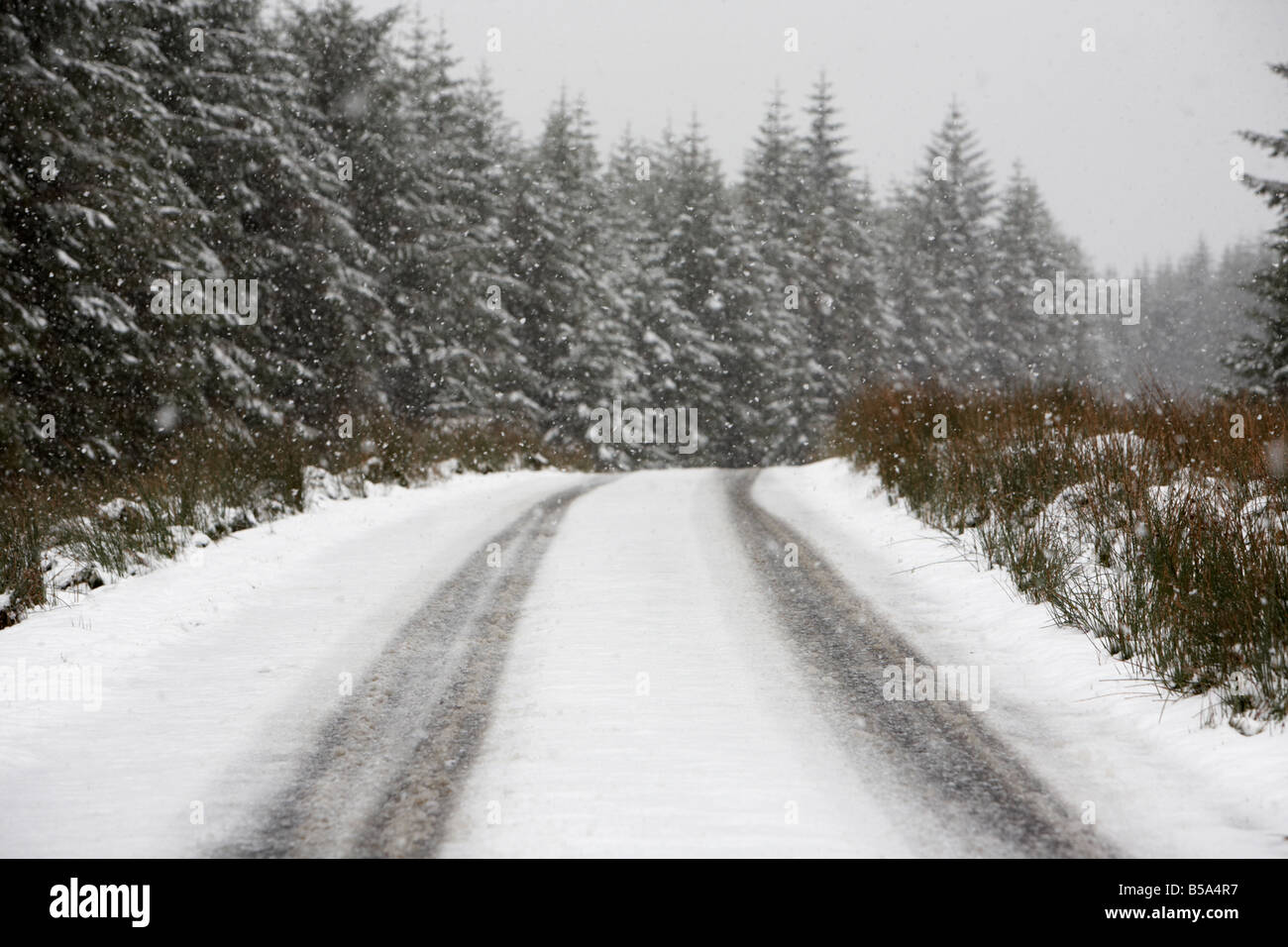 Schnee und Eis auf einer abgelegenen ländlichen Bergstraße laufen vorbei an einem Wald County Antrim-Nordirland Vereinigtes Königreich Stockfoto