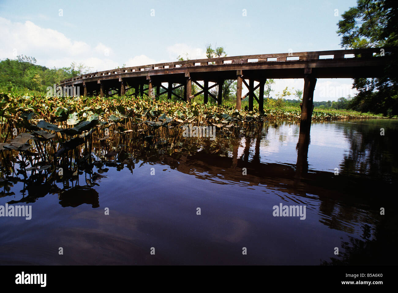 Holzbrücke über Mataponi Creek, Patuxent River Park, Croom Maryland USA Stockfoto