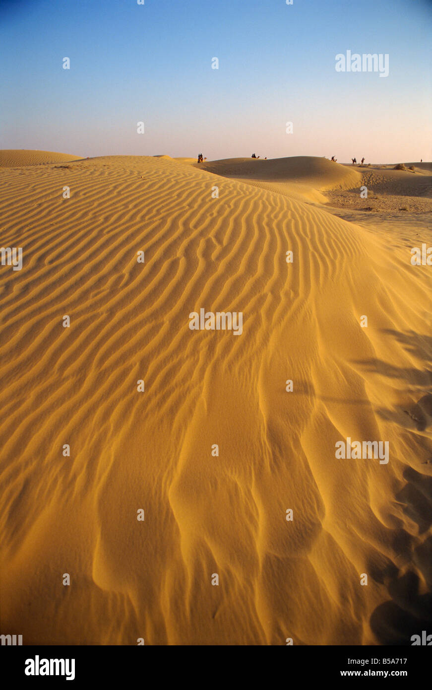 Die Sam Sanddünen in der Abenddämmerung in der Nähe von Jaisalmer Rajasthan Staat Indien Asien Stockfoto