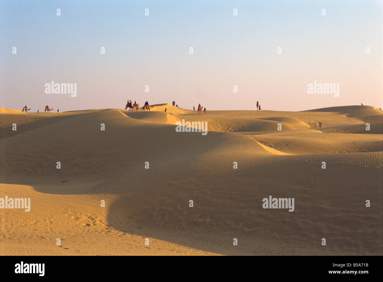 Die Sam Sanddünen in der Nähe von Jaisalmer bei Abenddämmerung Staat Rajasthan Indien Asien Stockfoto