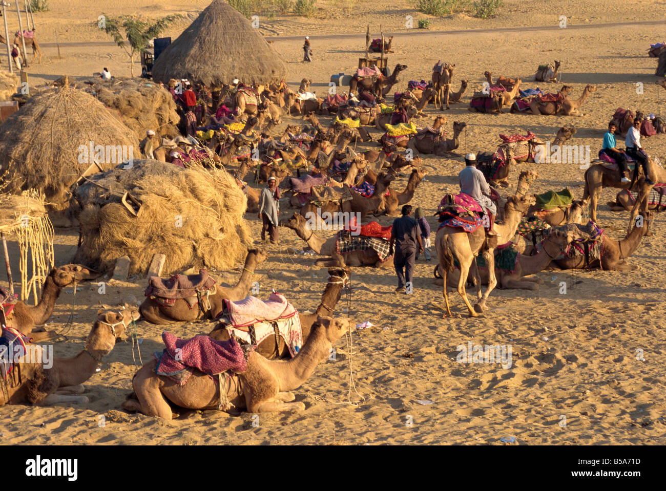 Sam Sanddünen in der Abenddämmerung in der Nähe von Jaisalmer Rajasthan Staat Indien Asien Stockfoto