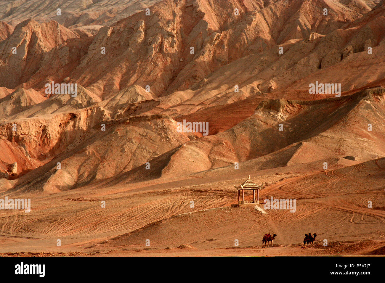 Zwei Kamele vor feurigen Berge (Huoyan Shan), Turpan, Provinz Xinjiang, China. Stockfoto