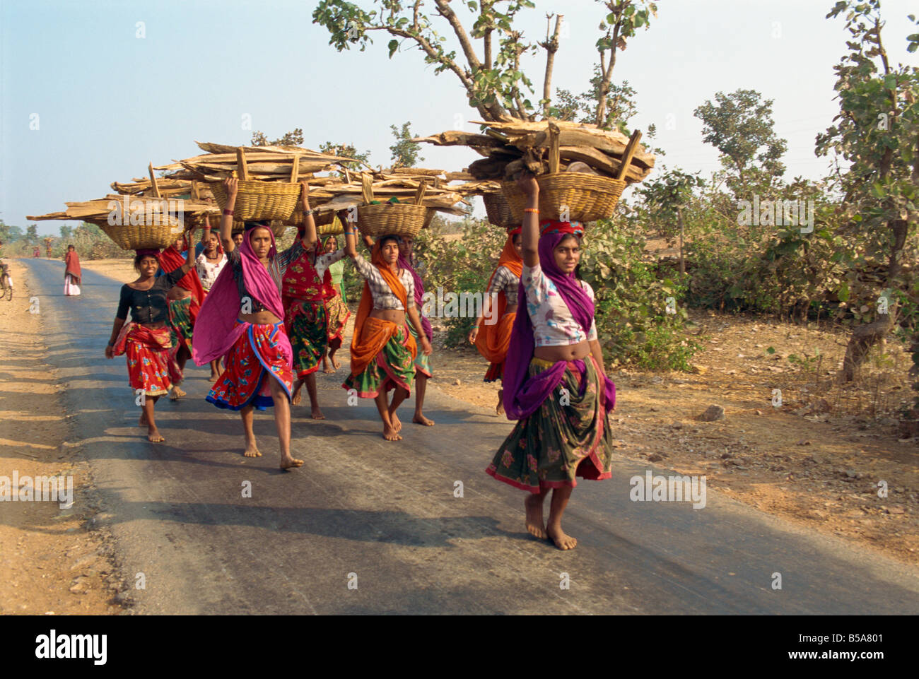 Frauen sammeln von Brennholz in der Nähe von Dhariyawad Rajasthan Staat Indien Asien Stockfoto