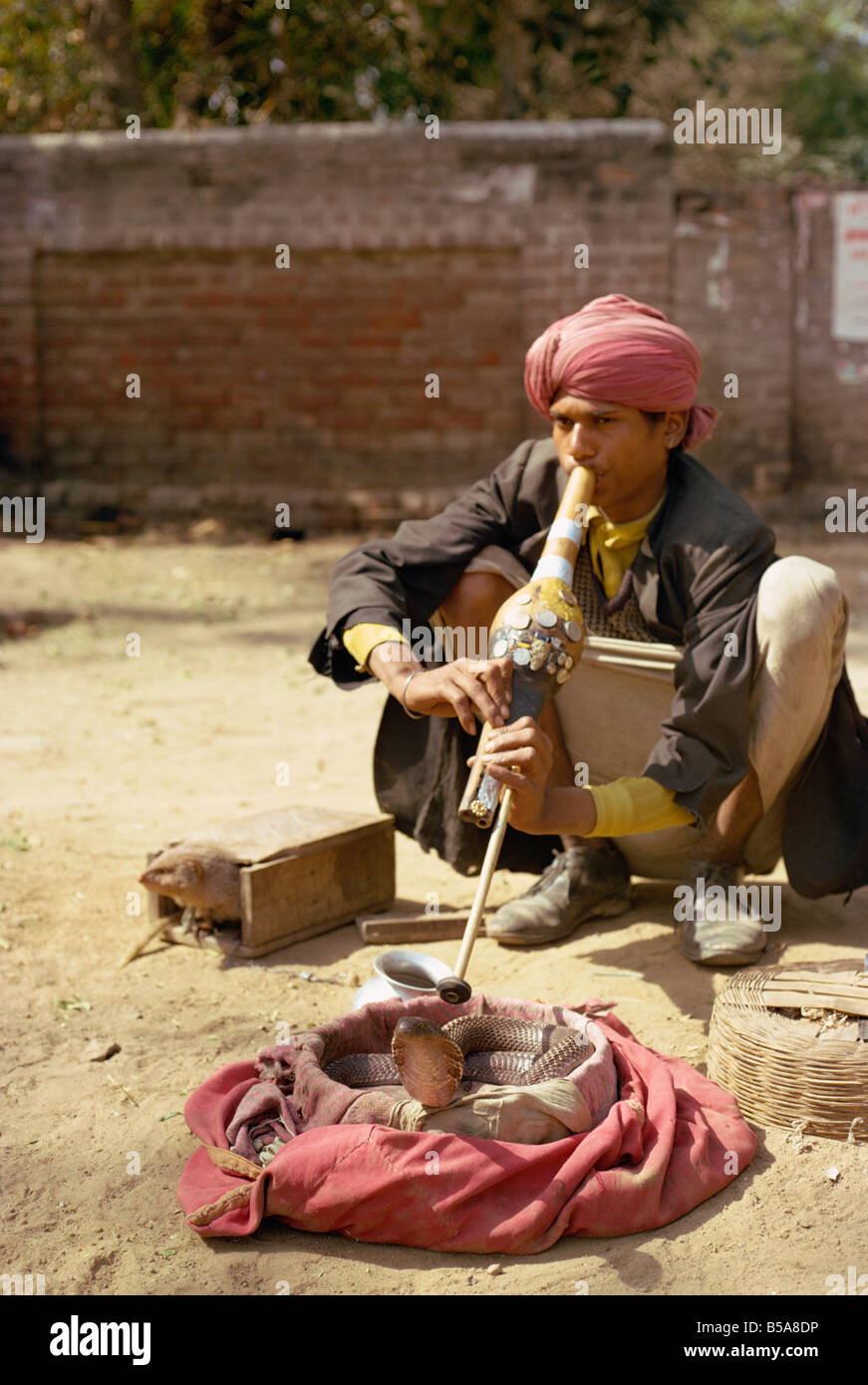 Snake Charmer Delhi Indien Asien Stockfoto