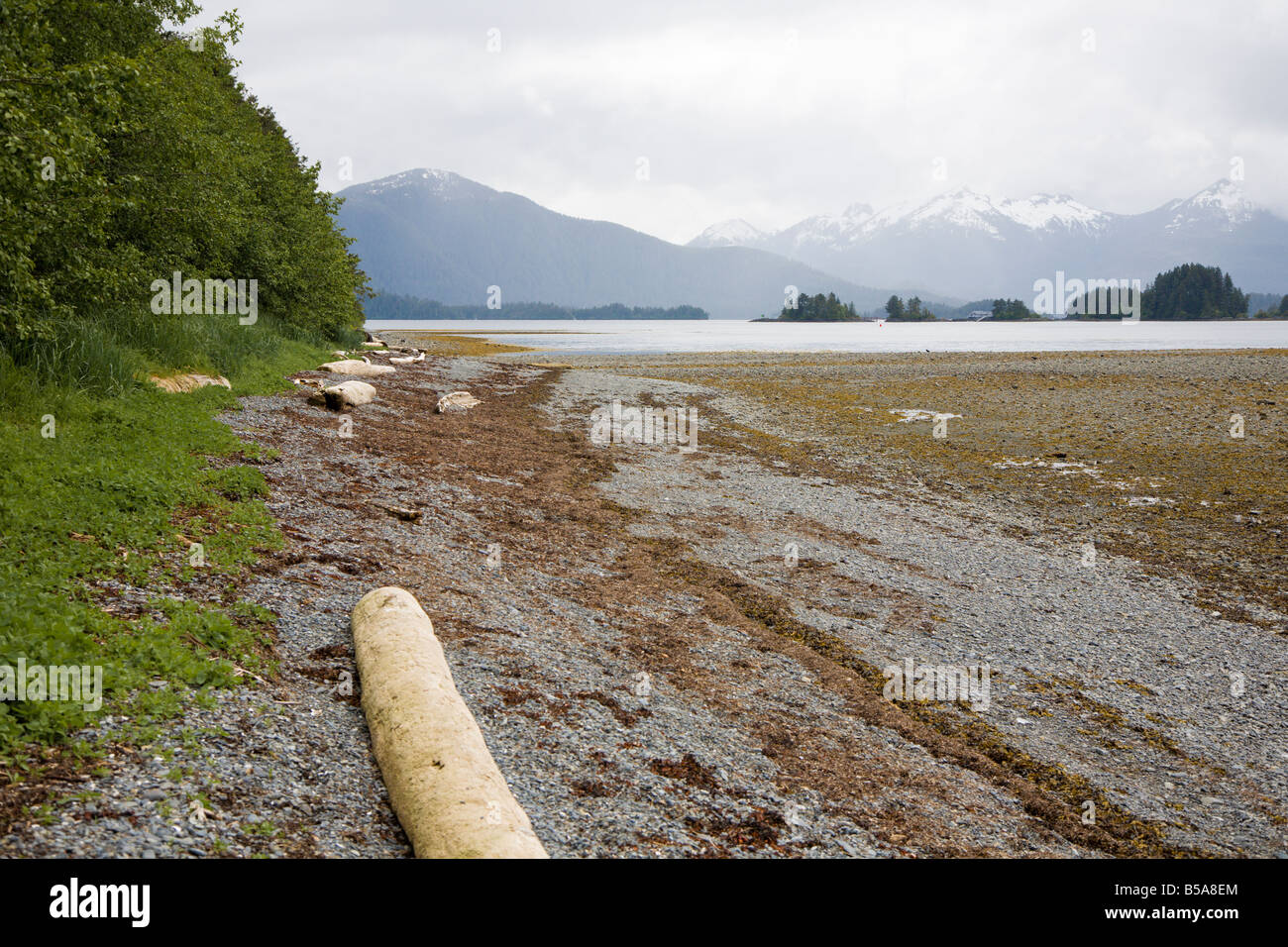 Protokolle und Felsen Wurf die östlichen Ärmelkanal-Küste vor schneebedeckten Bergen in Sitka, Alaska Stockfoto