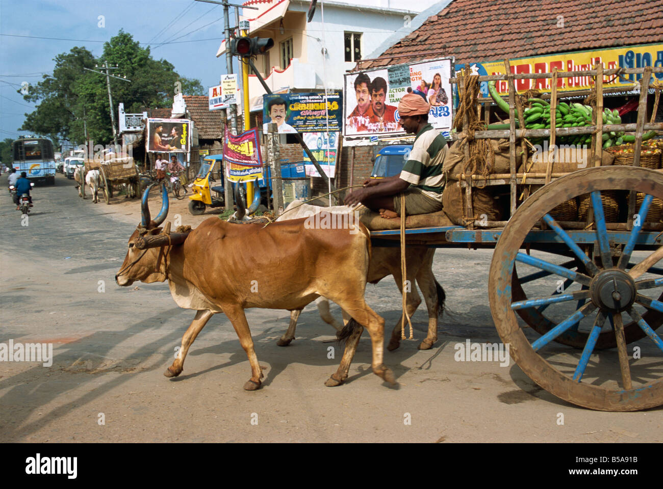 Ochsenkarren, Bundesstaat Kerala, Indien Stockfoto