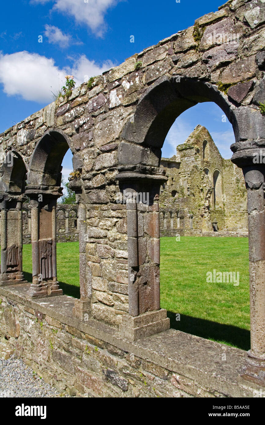 Jerpoint Abbey, Grafschaft Kilkenny, Leinster, Irland, Europa Stockfoto