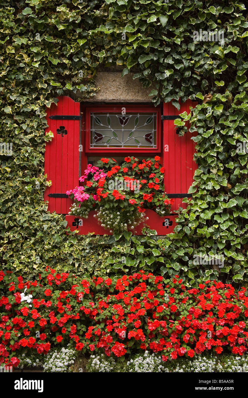 Efeu bedeckt Hütte, Stadt von Borris, County Carlow, Leinster, Irland, Europa Stockfoto