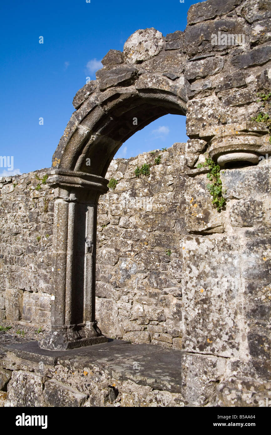 Hore Abbey, Cashel Stadt, Grafschaft Tipperary, Munster, Irland, Europa Stockfoto