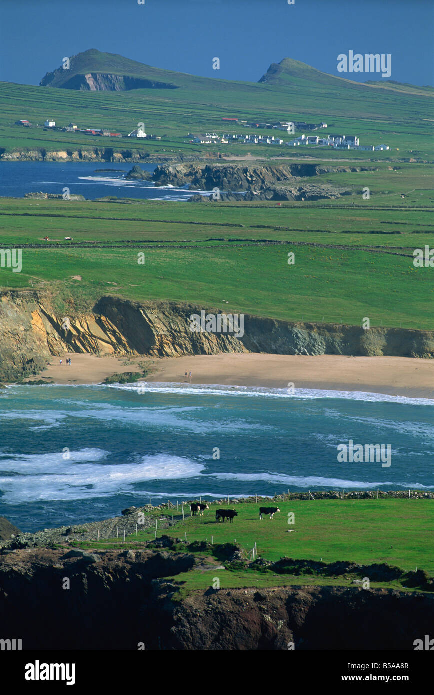 Luftaufnahme über die Dingle Halbinsel Co Kerry Irland D Maxwell Stockfoto