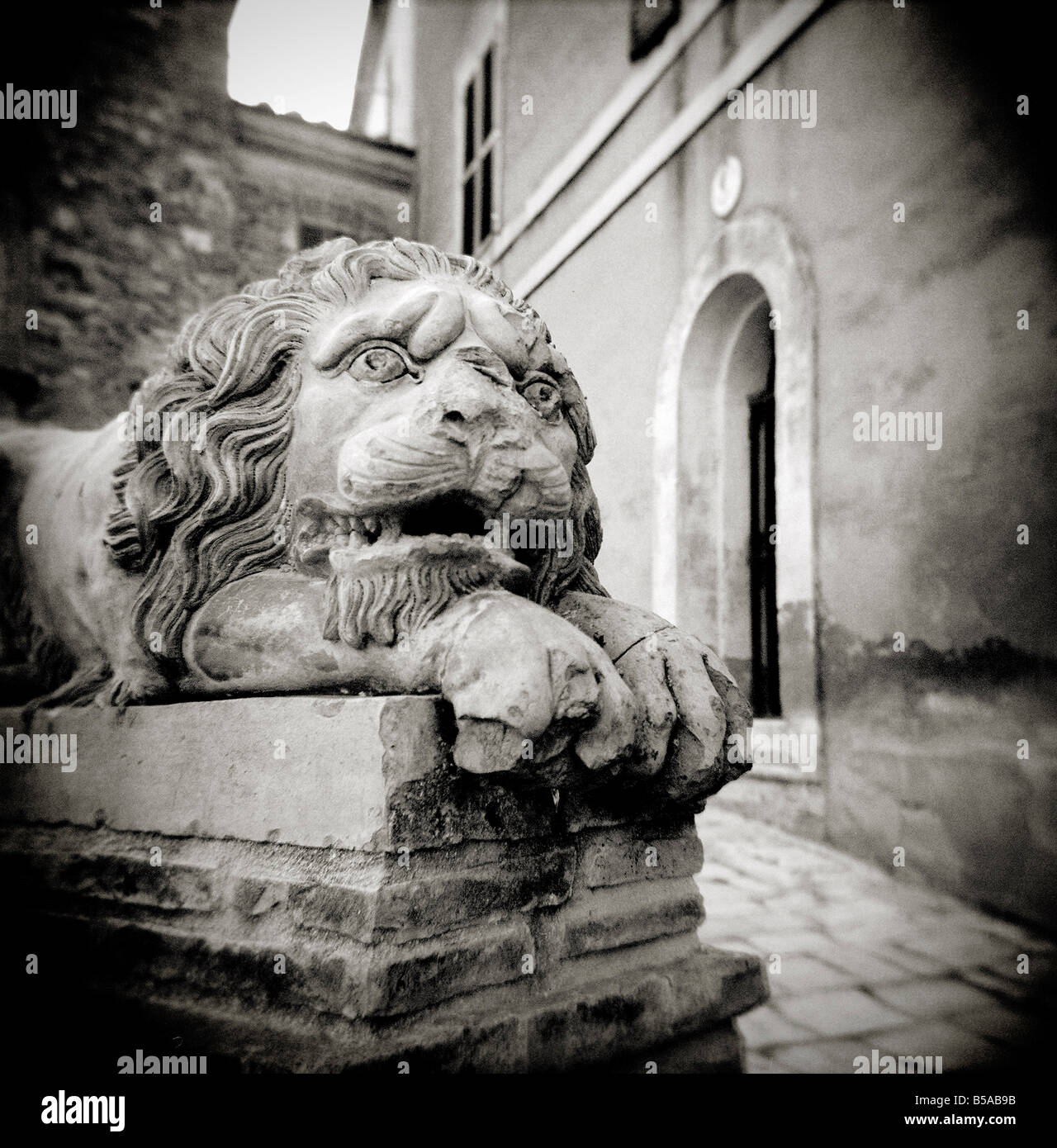 Stein Löwe Skulptur außerhalb Gebäude im Dorf Lucignano d ' Asso, Toskana, Italien Stockfoto