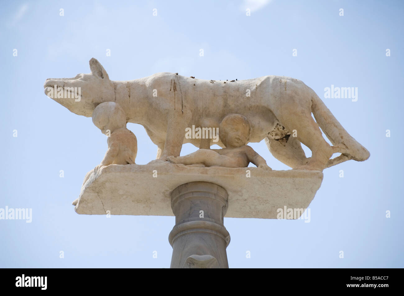 Statue, die Romulus und Remus und die Wölfin, Duomo (Kathedrale), Siena, Toskana, Italien, Europa Stockfoto