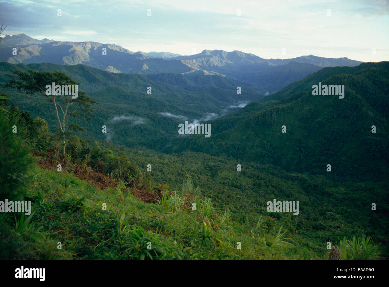 Landschaft Irian Jaya Indonesien Südost-Asien Asien Stockfoto