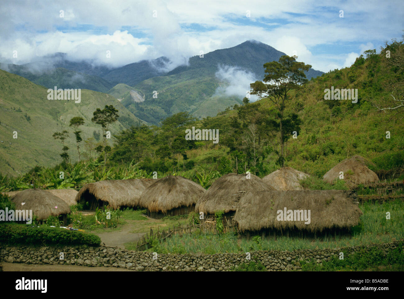 Yali Dorf Irian Jaya Indonesien Südost-Asien Asien Stockfoto
