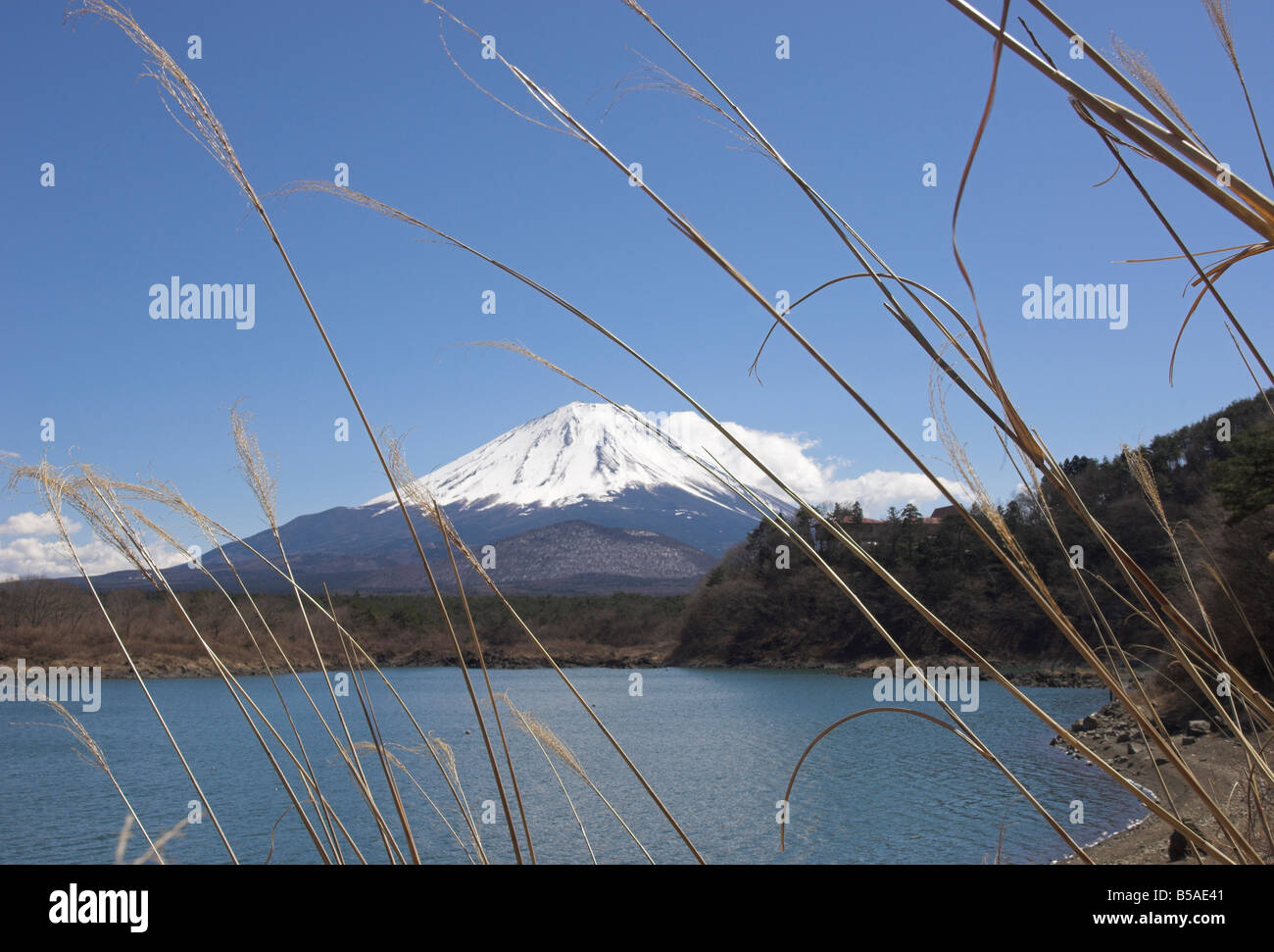 See-Shoji mit Mount Fuji hinter Shojiko, zentralen Honshu, Japan Stockfoto