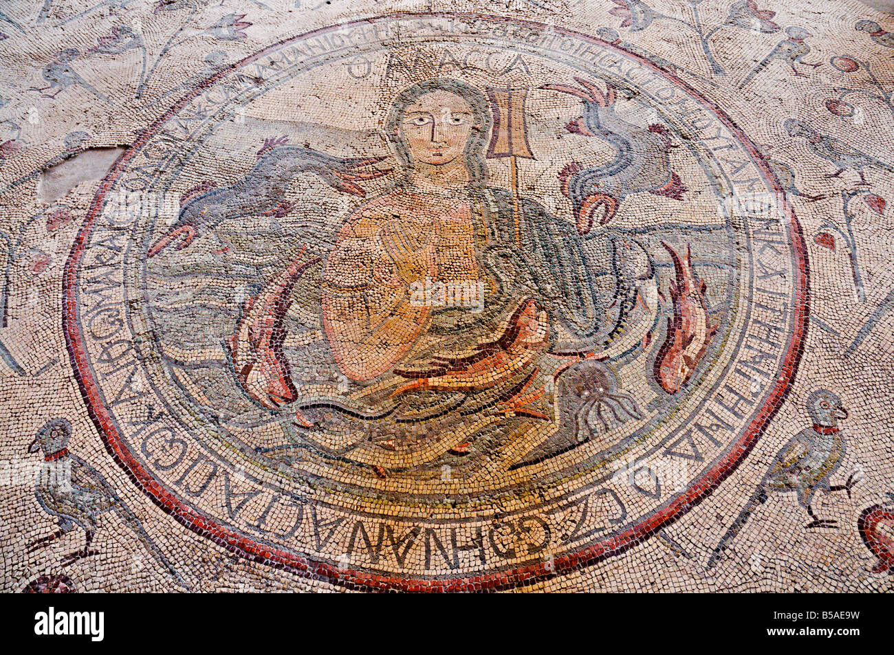 Personifikation des Meeresbodens Mosaiks, Kirche von den Aposteln, Madaba, Jordanien, Naher Osten Stockfoto