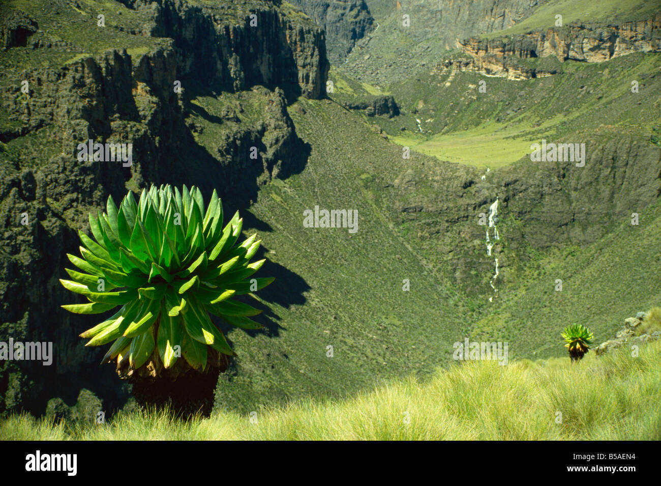 Chogoria Tal, Mount Kenia, Kenia, Ostafrika, Afrika Stockfoto