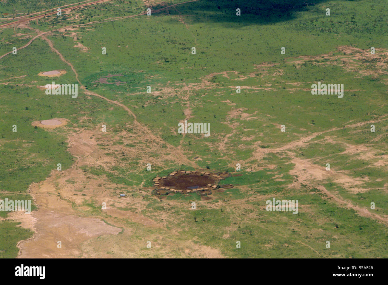 Masai Mara National Reserve Kenia Ostafrika Afrika Stockfoto