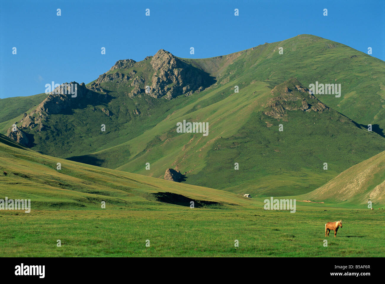 Tash Rabat bei Baschi Range, Tien Shan, südlich von Naryn, Kirgisien, Zentralasien Stockfoto