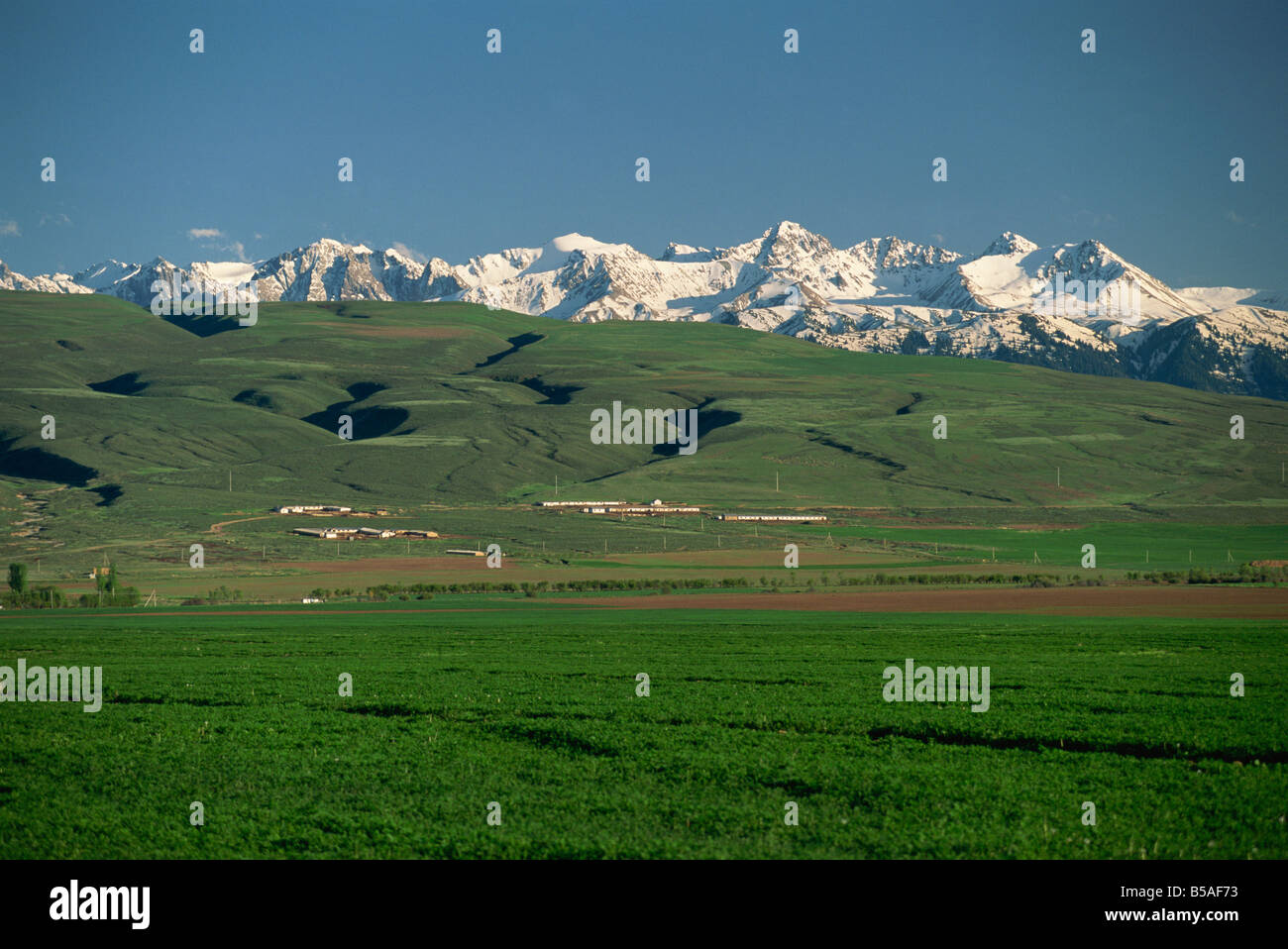 Genossenschaftlichen Bauernhof in der Nähe von See Issyk-Kul im Tien-Shan-Gebirge in Kirgisistan GUS-Zentralasien G Hellier Stockfoto