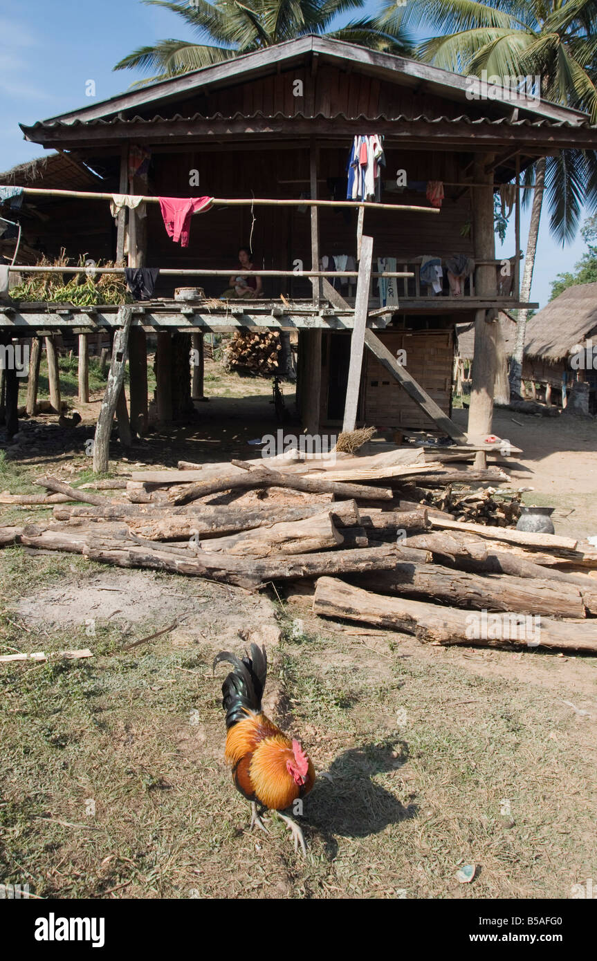 GOM Dturn, einem Dorf Lao Luong im Goldenen Dreieck von Laos, Indochina, Südost-Asien Stockfoto