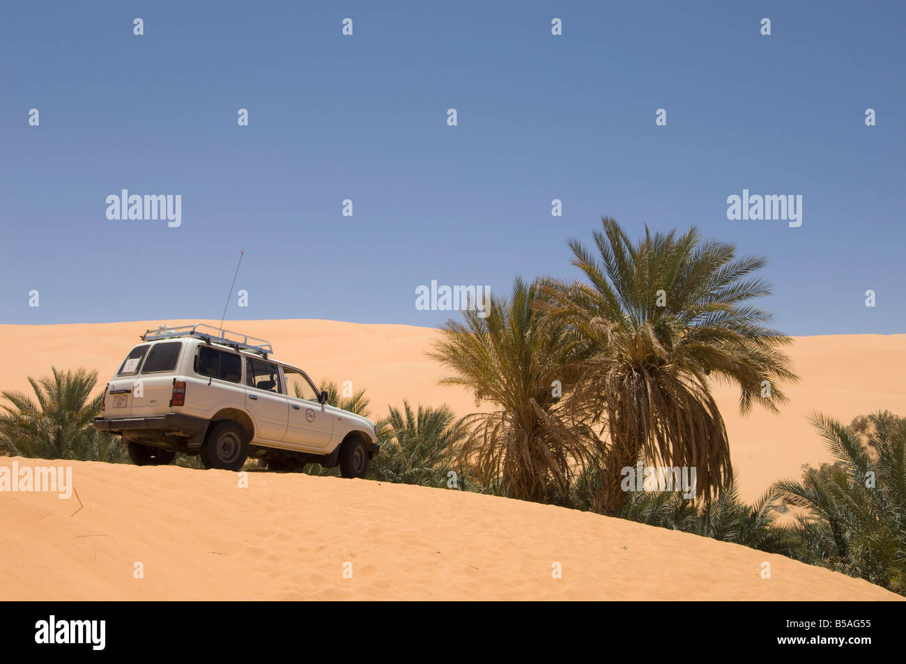 Umm El Ma See, Erg Awbari, Sahara Wüste, Fezzan, Libyen, Nordafrika, Afrika Stockfoto