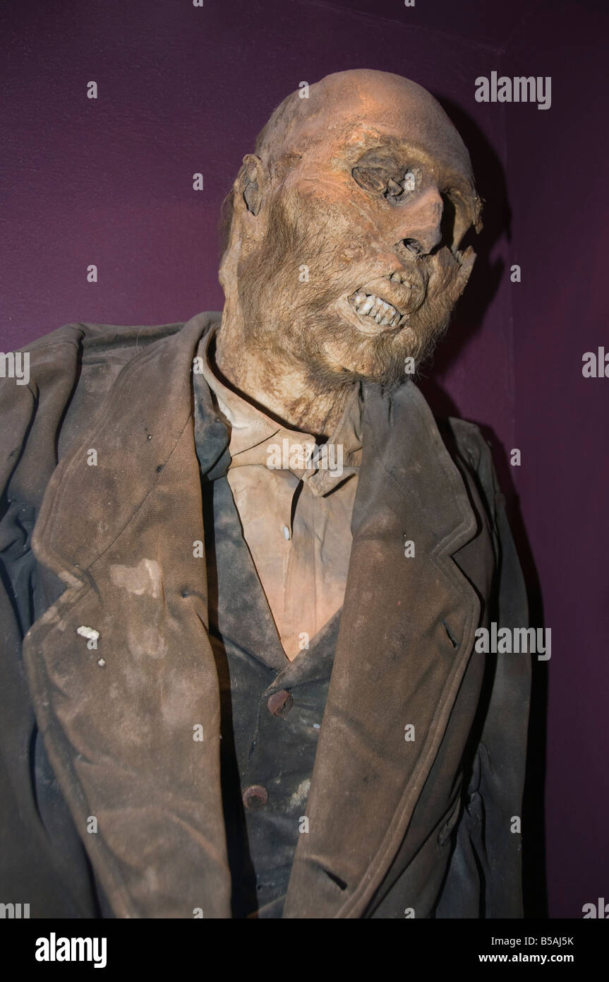 Die Mumie von Dr. Remigio Leroy, der ersten Mumie platziert in der Mumie Museum in Guanajuato, Guanajuato, Mexiko Stockfoto