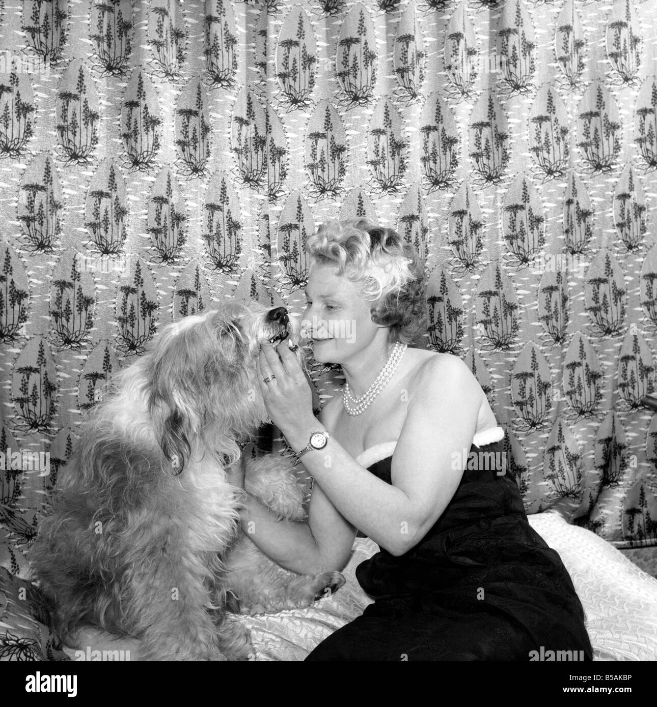 Frau Zuneigung zu ihrem Haustier Hund: 1957 Stockfoto