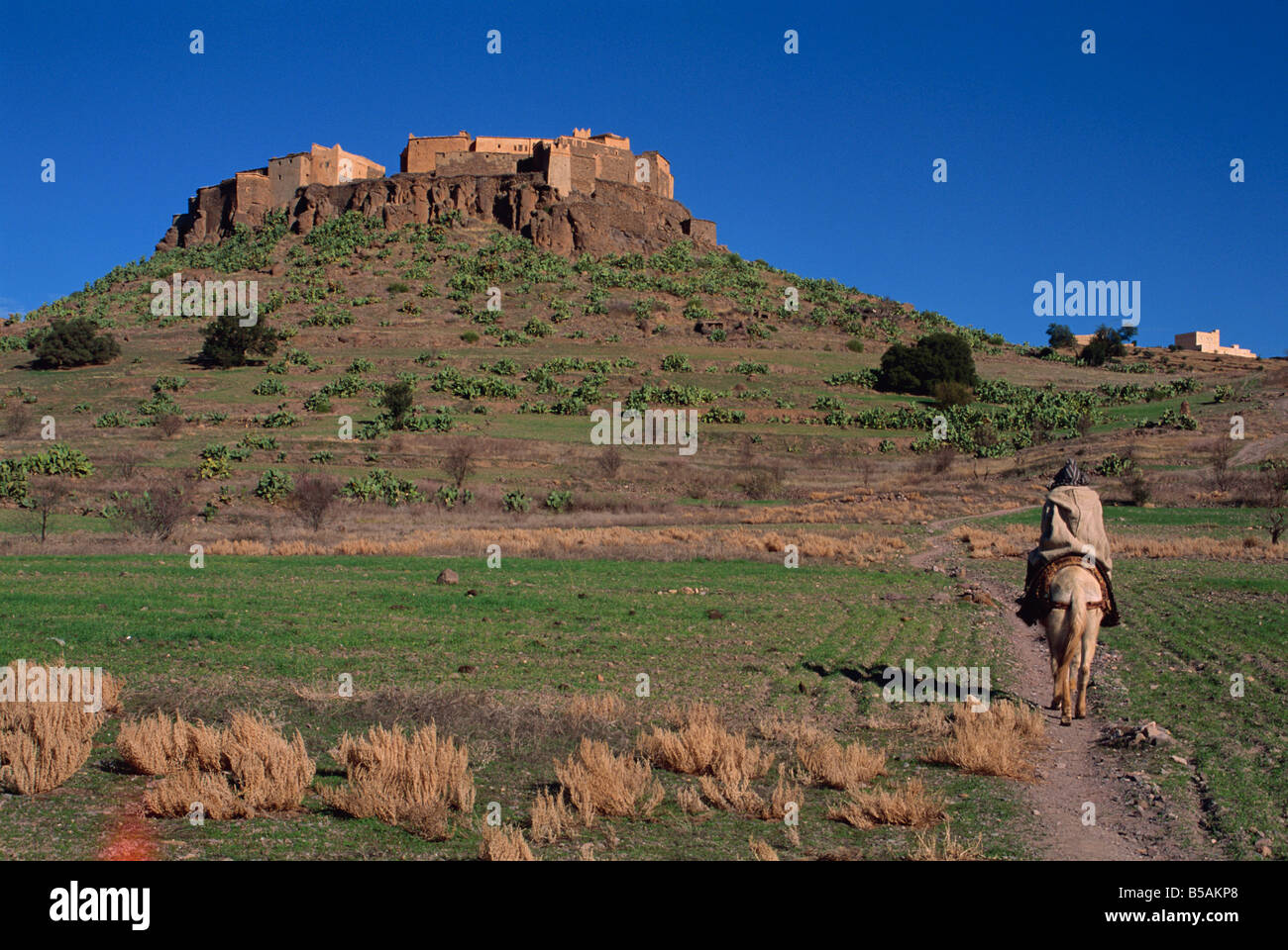 Berber Dorf von Tioulit C6th AD Tafraoute Region Marokko Afrika D Maxwell Stockfoto