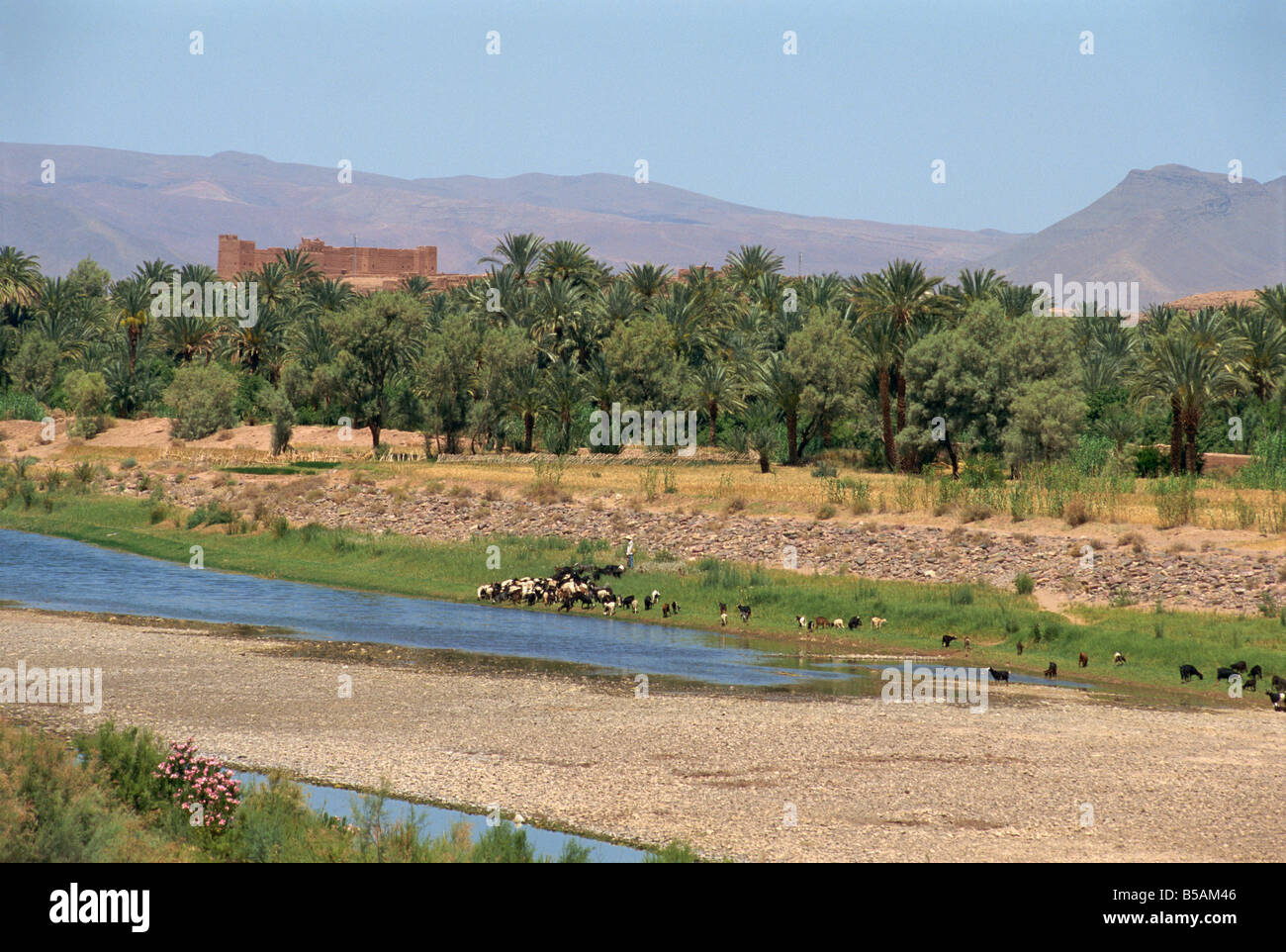 Ein Fluss in der Draa-Tal Marokko R H Productions Stockfoto