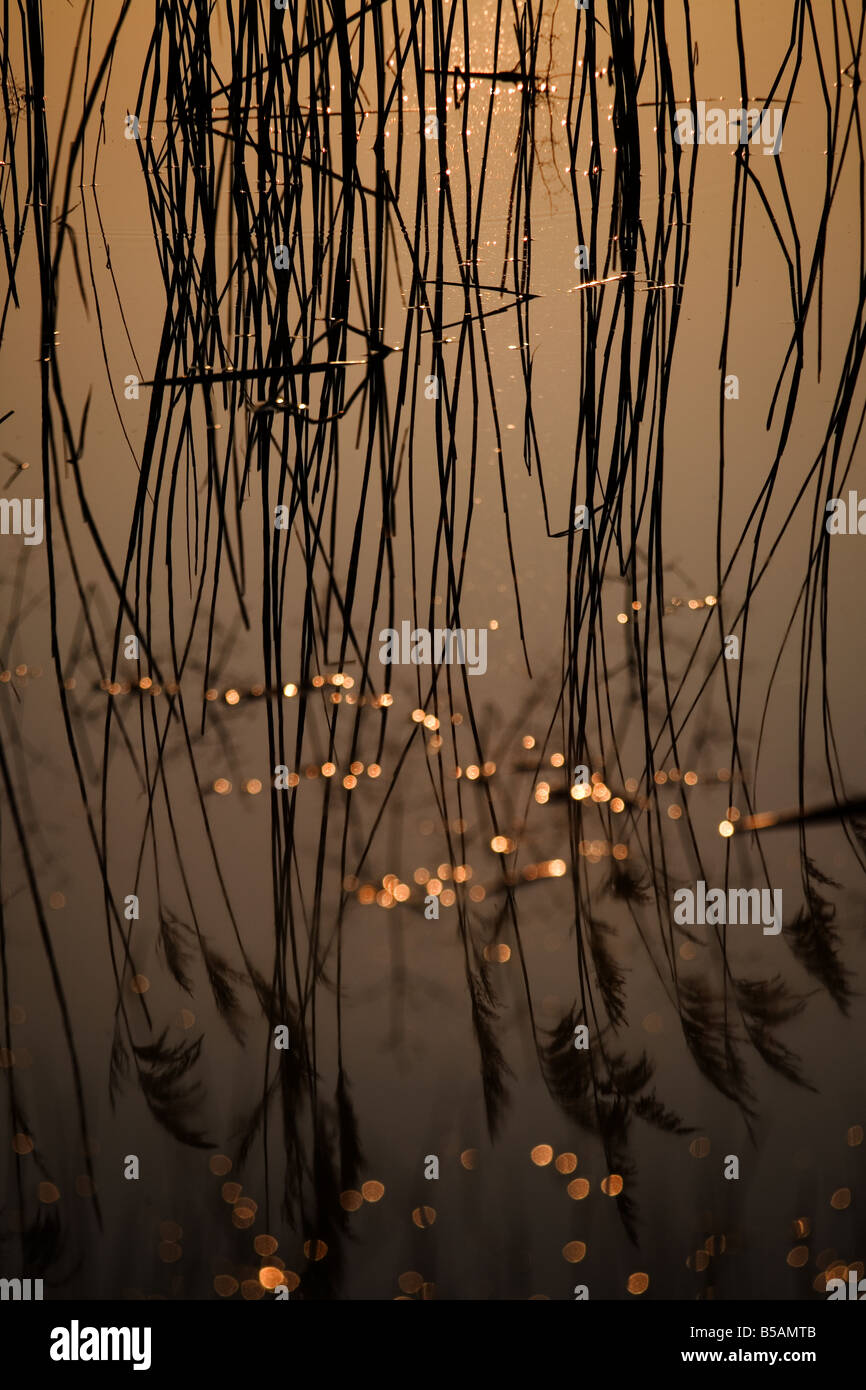 Reflexionen Stockfoto