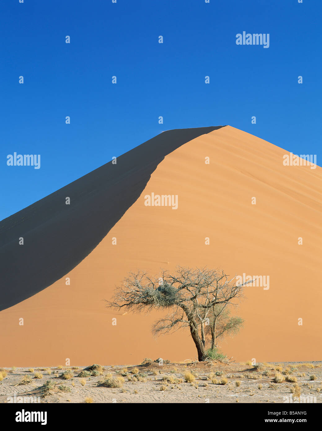Sanddüne in der Nähe von Sesriem Namib Naukluft Park Namibia Afrika Stockfoto