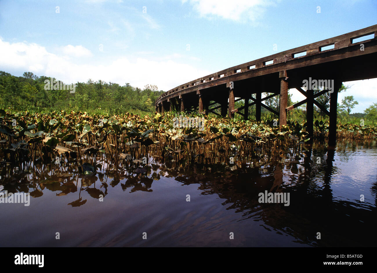 Holzbrücke über Mataponi Creek, Patuxent River Park, Croom Maryland USA Stockfoto