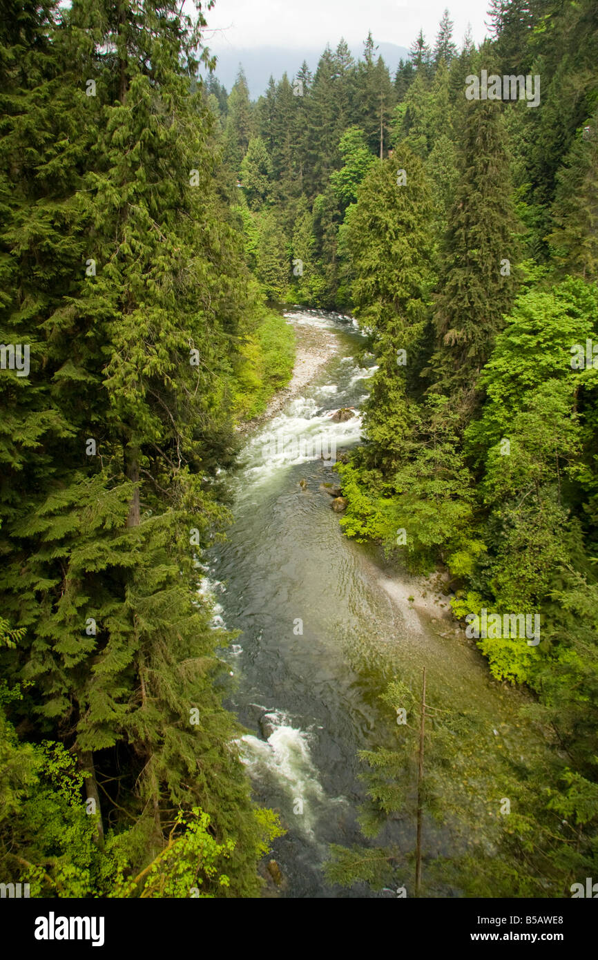 Capilano River - Vancouver, British Columbia, Kanada Stockfoto