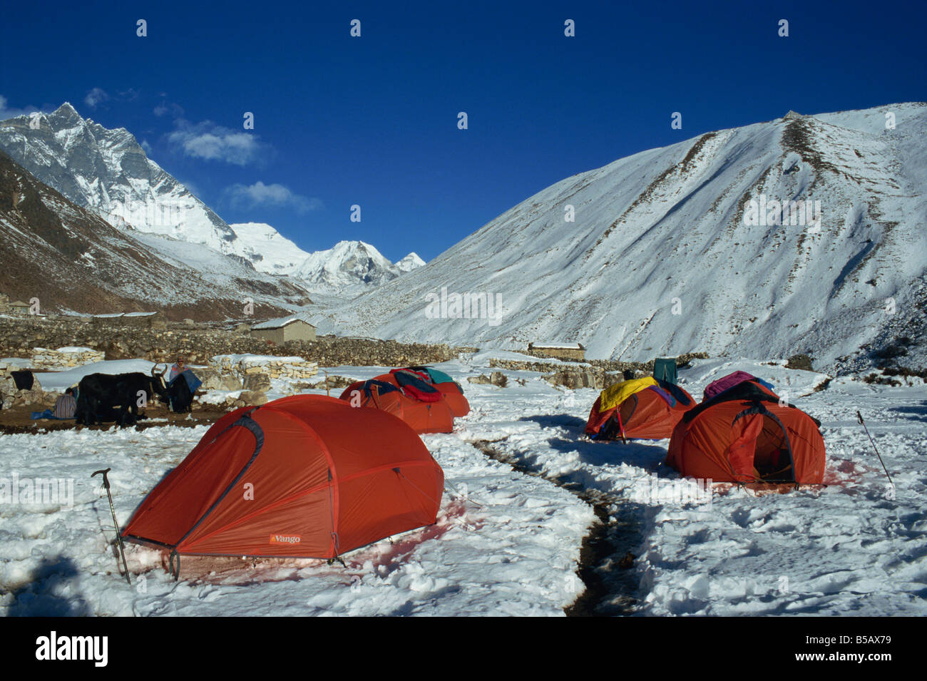 Campingplatz in Dingboche Everest Region Nepal Asien D Poole Stockfoto