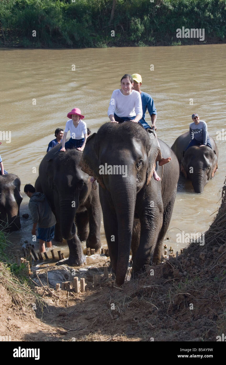 Elefanten im Anantara Golden Triangle Resort, Sop Ruak, Goldenes Dreieck, Thailand, Südostasien Stockfoto