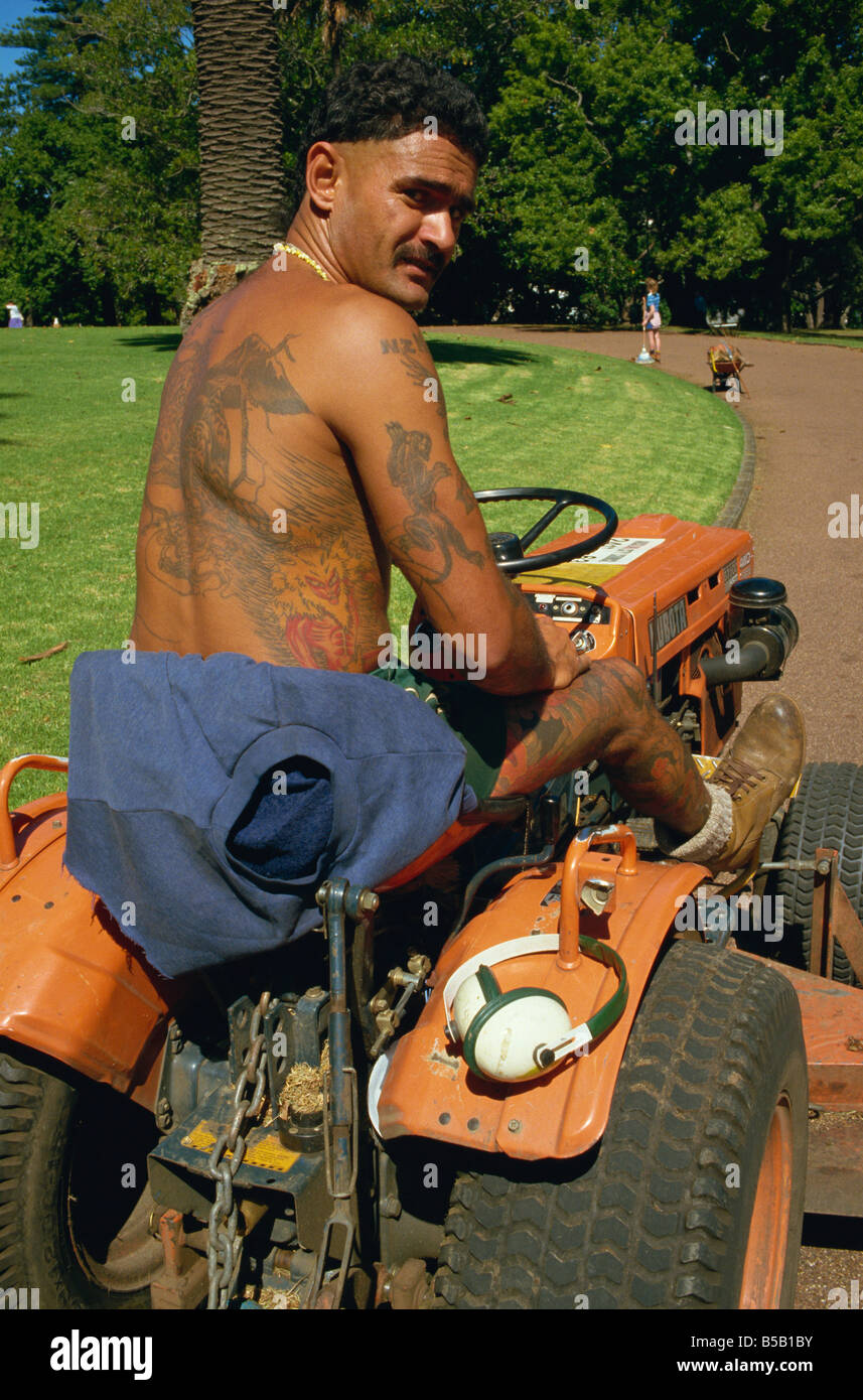 Tätowierter Maori Parken damit verbundenen Auckland Island Neuseeland Nordpazifik Stockfoto