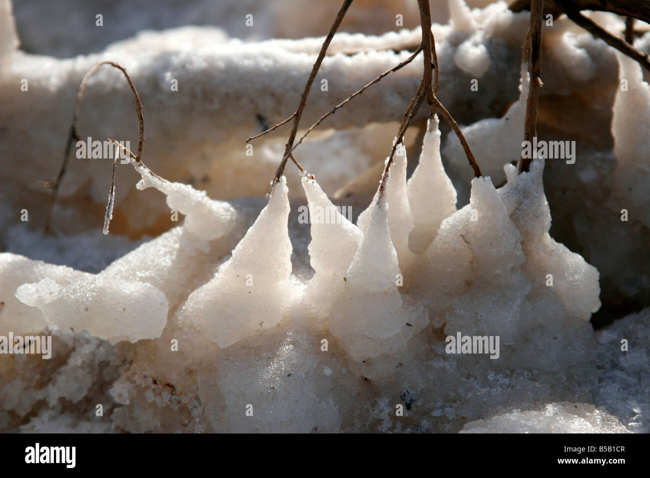 Totes Meersalz Stockfoto