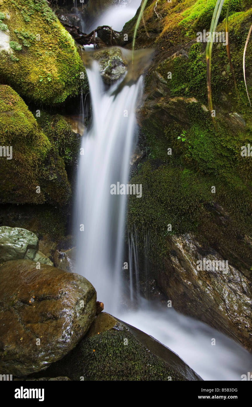 Ein Wasserfall auf dem Routeburn Track, geht einer der großen der New Zealand, Fiordland-Nationalpark, Südinsel, Neuseeland Stockfoto
