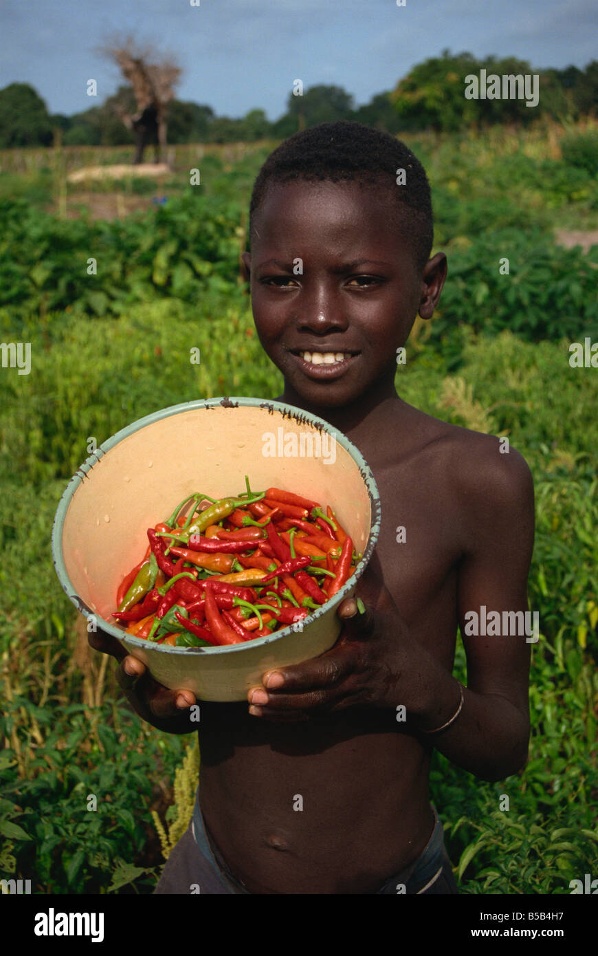 Junge hält Schüssel mit Chili, Gambia, Westafrika, Afrika Stockfoto