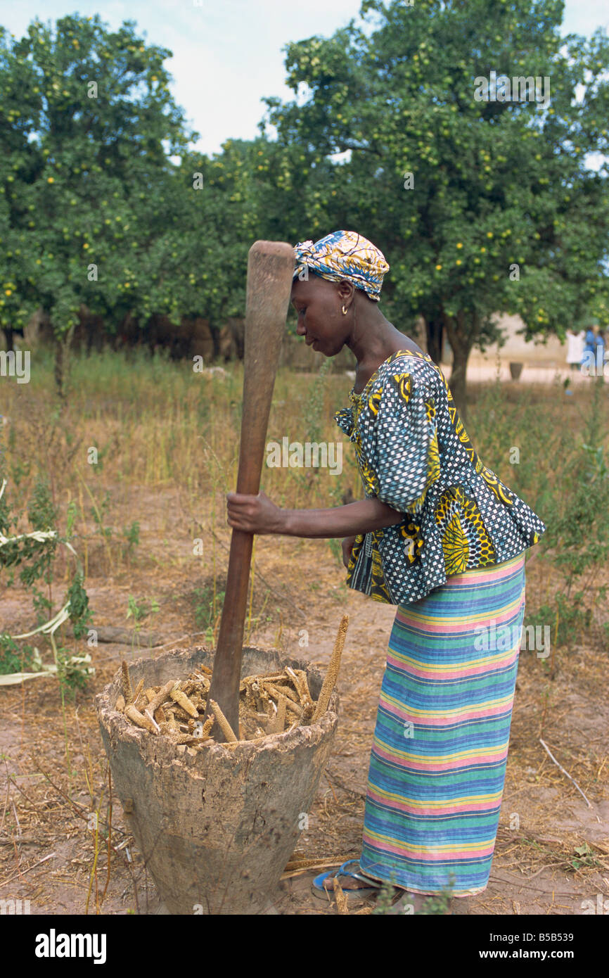 Stampfen Hirse für Mehl, in der Nähe von Banjul, Gambia, Westafrika, Afrika Stockfoto