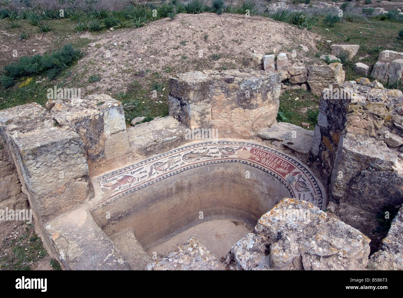 Bad (geschäftlich), Haus der Amphitrite, römischen Ruinen von Bulla Regia, Tunesien, Nordafrika, Afrika Stockfoto