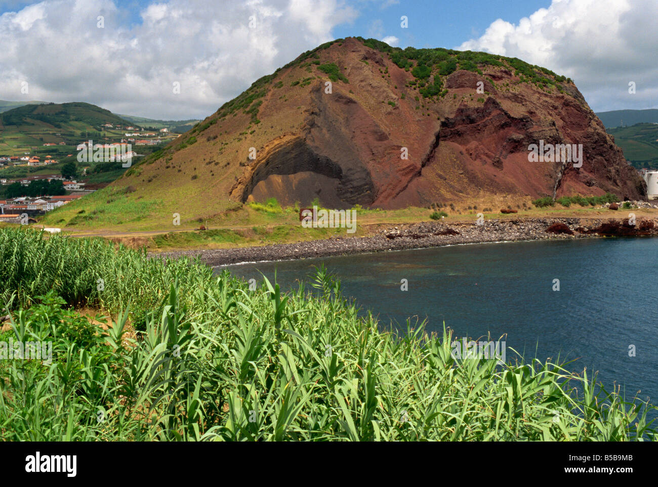 Monte Queimado Faial Azoren Portugal Atlantik Europa Stockfoto