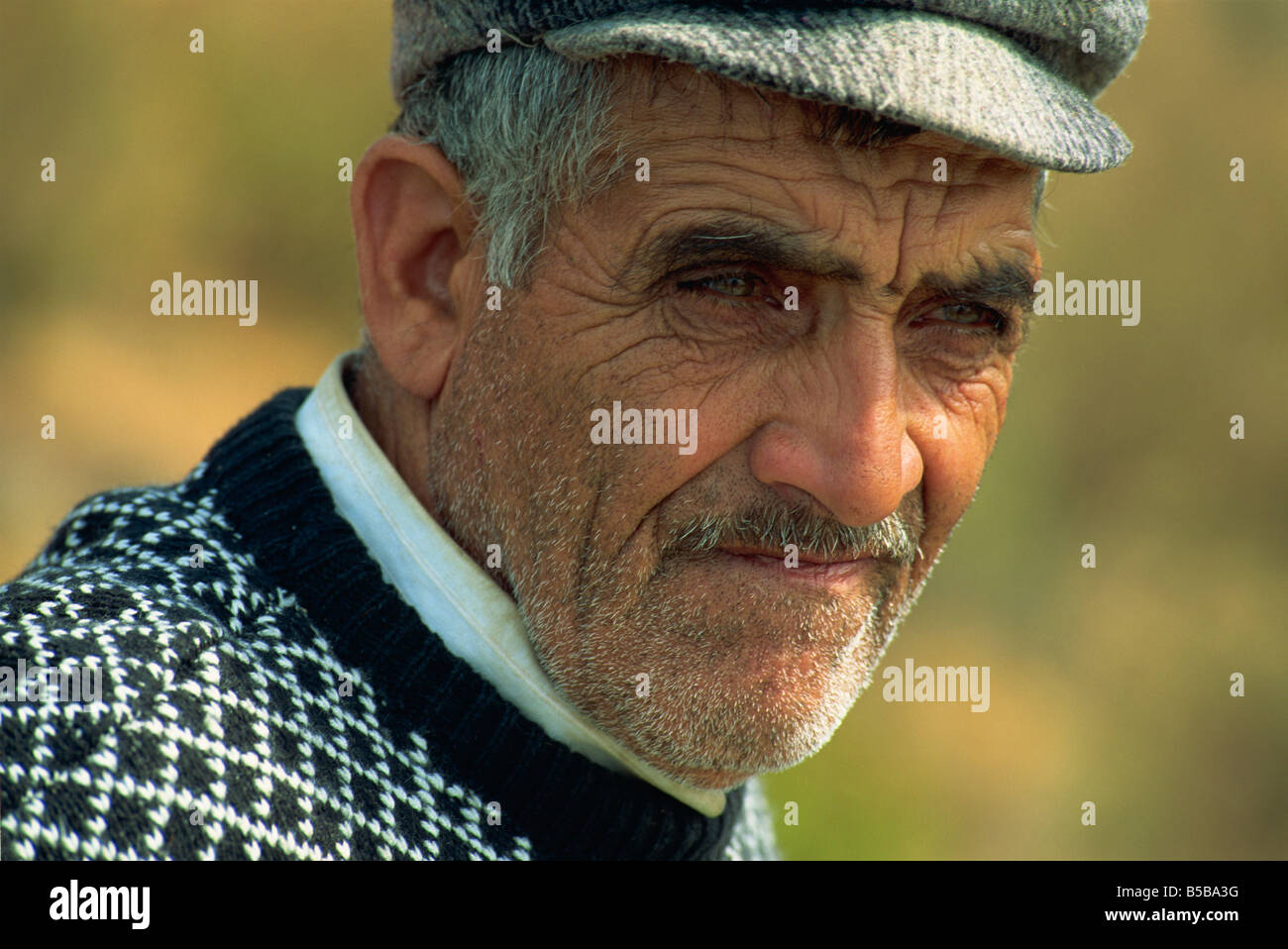 Porträt eines alten Mannes mit Bart und flache Kappe, der Phaeton Fahrer in Büyük Ada auf Prinzen Inseln Türkei J Strachan Stockfoto